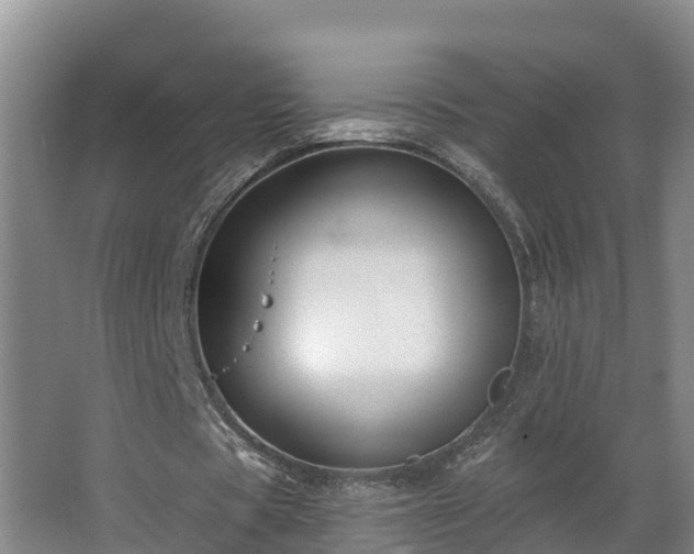 X0000068270529200604281554