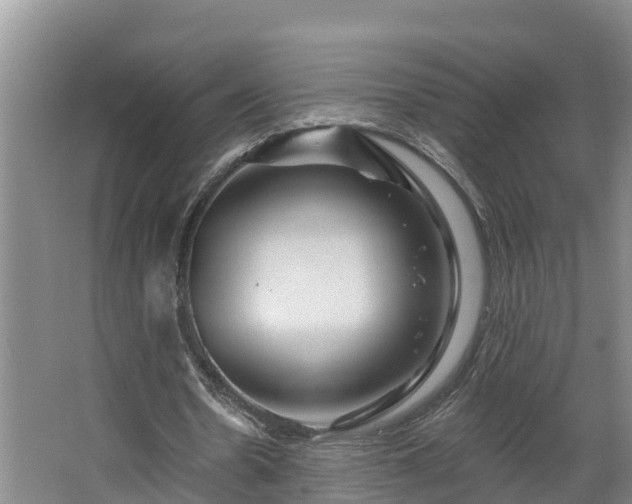 X0000068270530200604281554