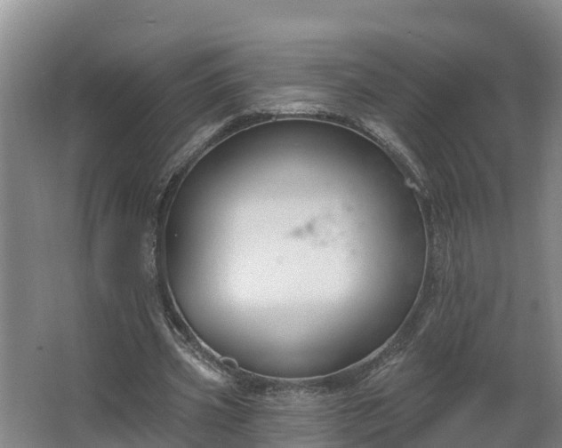 X0000068270533200604281554