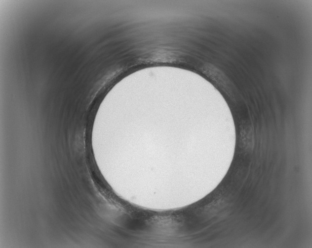 X0000068270534200604281554