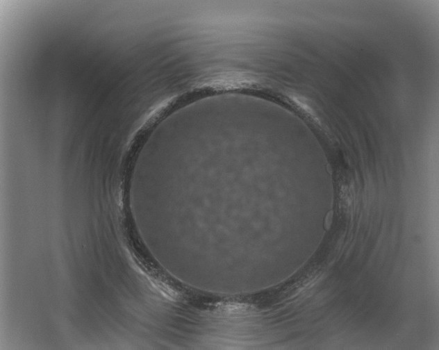 X0000068270539200604281554