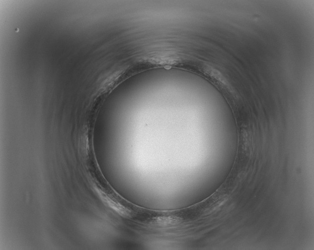 X0000068270541200604281554