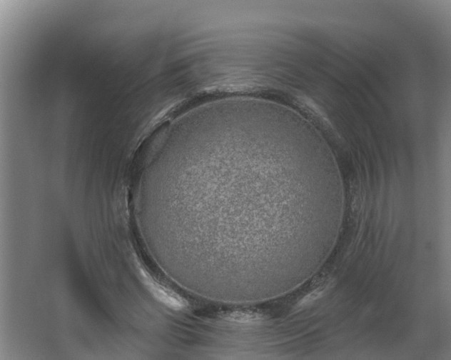 X0000068270542200604281554