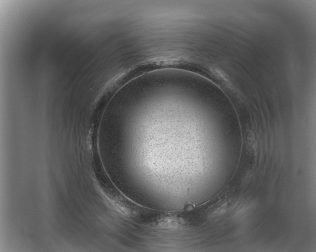 X0000068270543200604281554