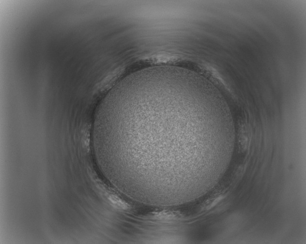 X0000068270545200604281554