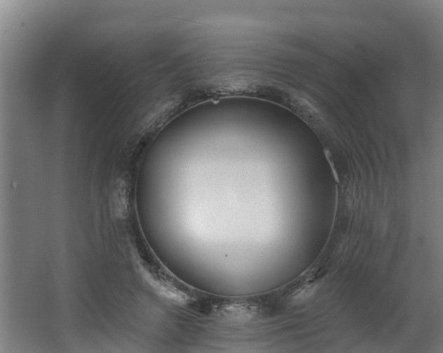 X0000068270546200604281554