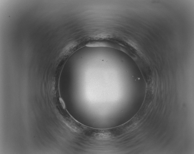 X0000068270548200604281554