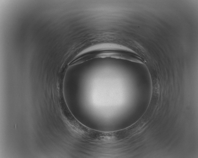 X0000068270552200604281554