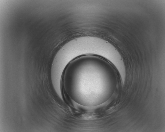 X0000068270556200604281554