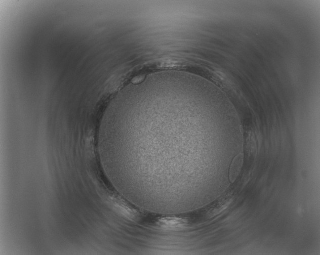 X0000068270557200604281554