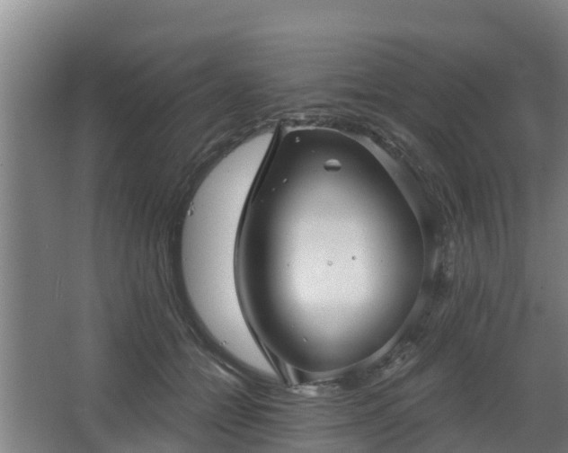 X0000068270558200604281554