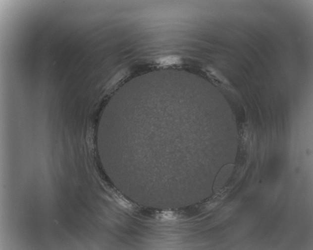 X0000068270565200604281554