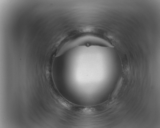 X0000068270566200604281554