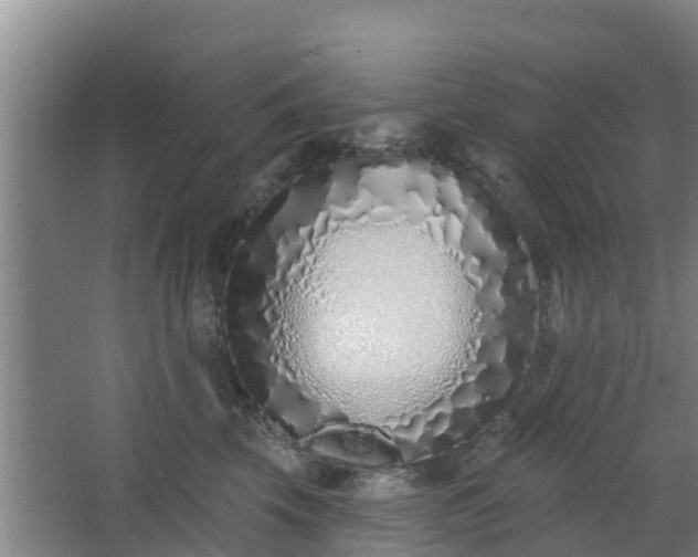 X0000068270569200604281554