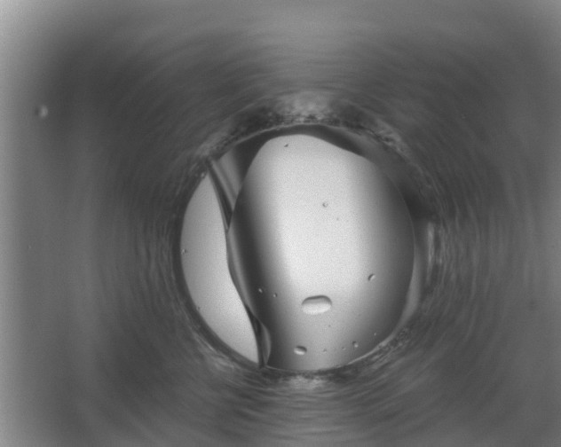 X0000068270570200604281554