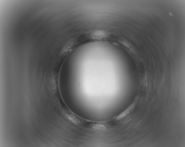 X0000068270572200604281554