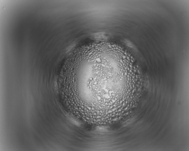 X0000068270573200604281554