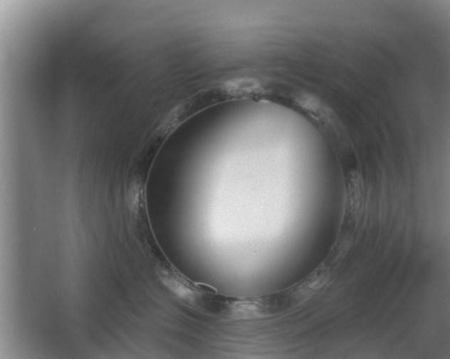 X0000068270574200604281555