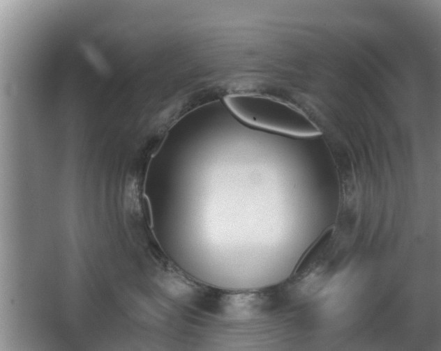 X0000068270575200604281555