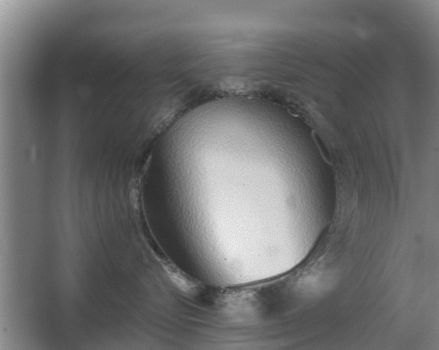 X0000068270576200604281555