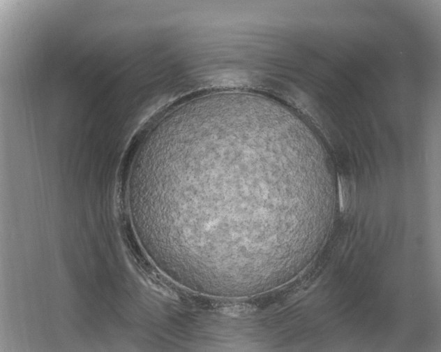 X0000068270579200604281554