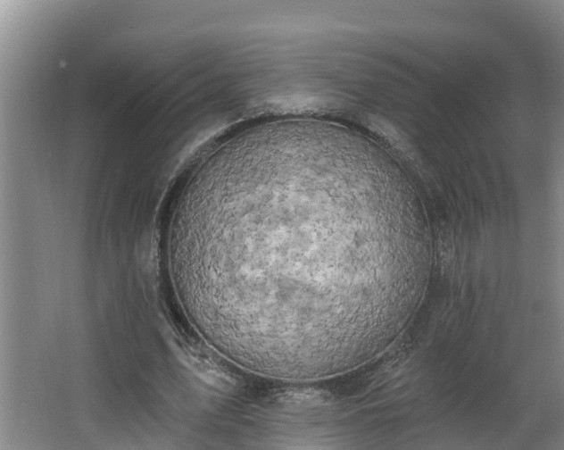 X0000068270583200604281554