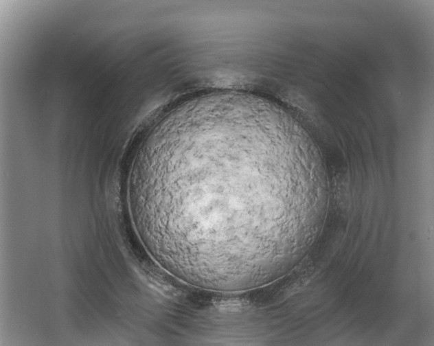 X0000068270587200604281554