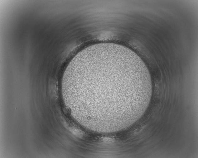 X0000068270592200604281553