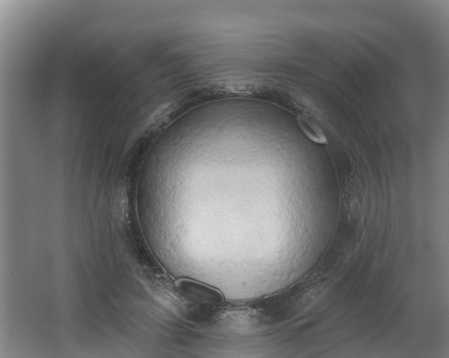 X0000068270595200604281553