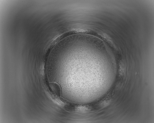 X0000068270596200604281553