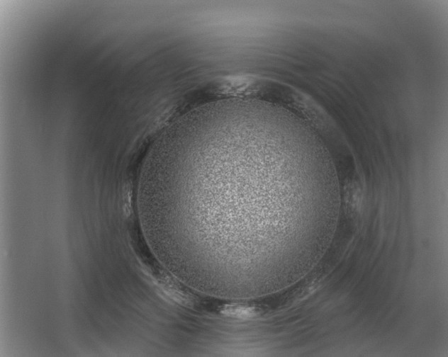 X0000068270602200604281553