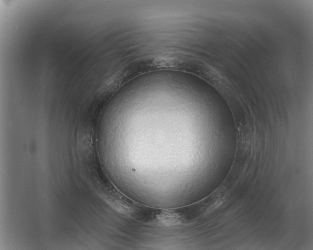 X0000068270603200604281553