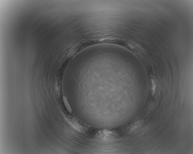 X0000068270607200604281553