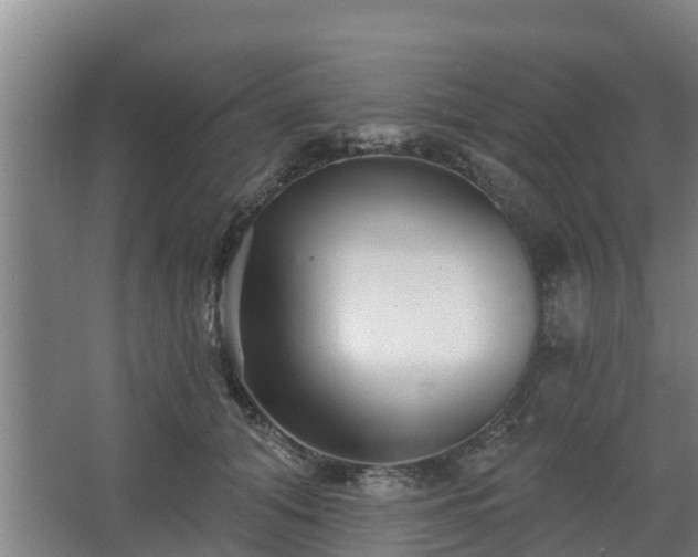 X0000068270608200604281553