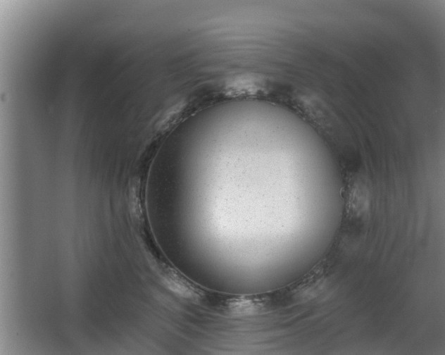 X0000068270616200604281553