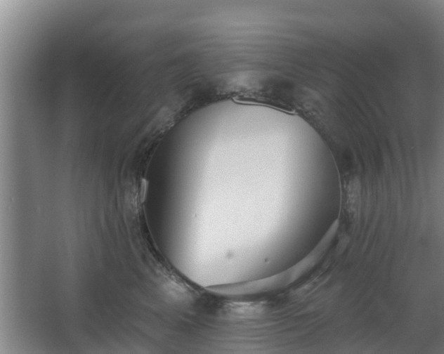 X0000068270617200604281553