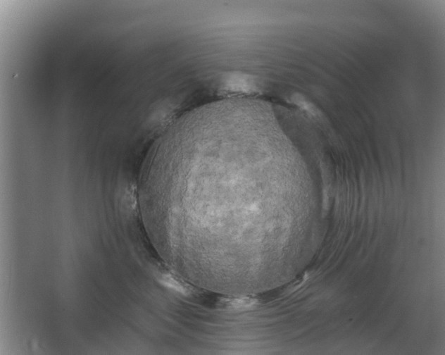 X0000068270621200604281553