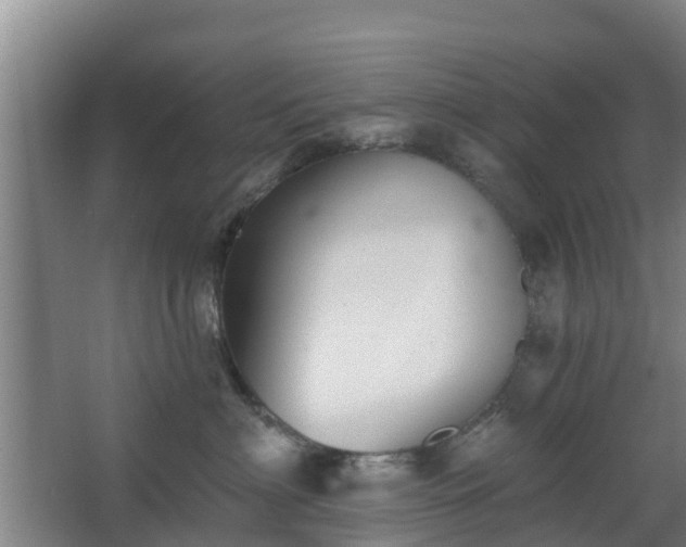 X0000068270622200604281553