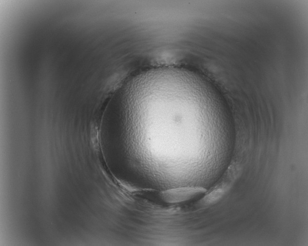 X0000068270624200604281553