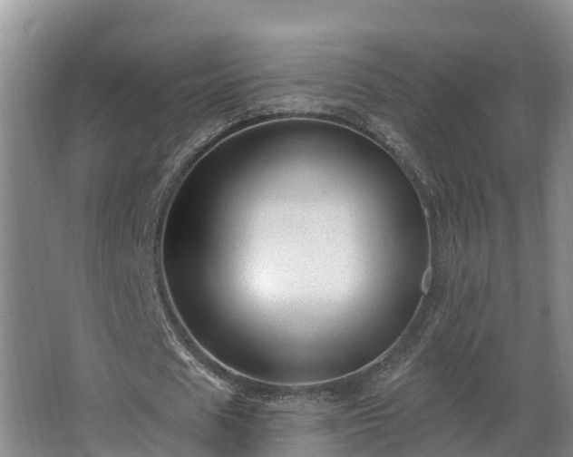 X0000068270625200604281552