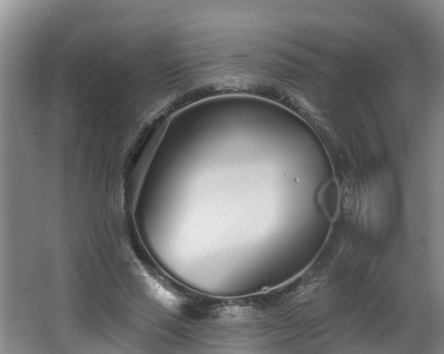 X0000068270637200604281552