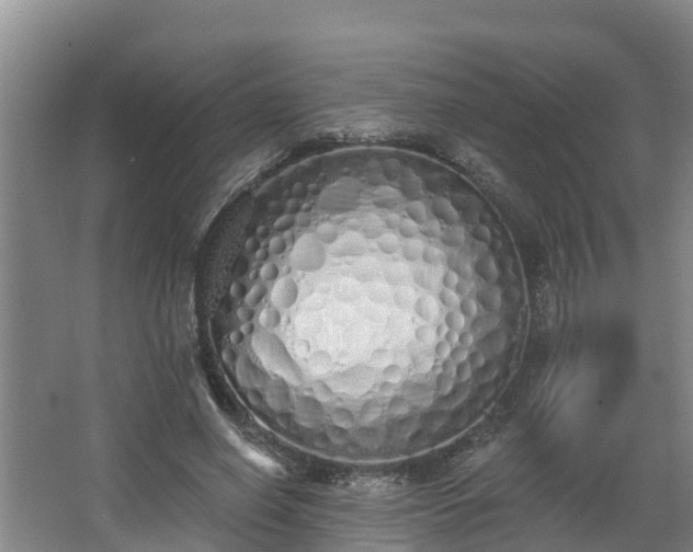 X0000068270638200604281552