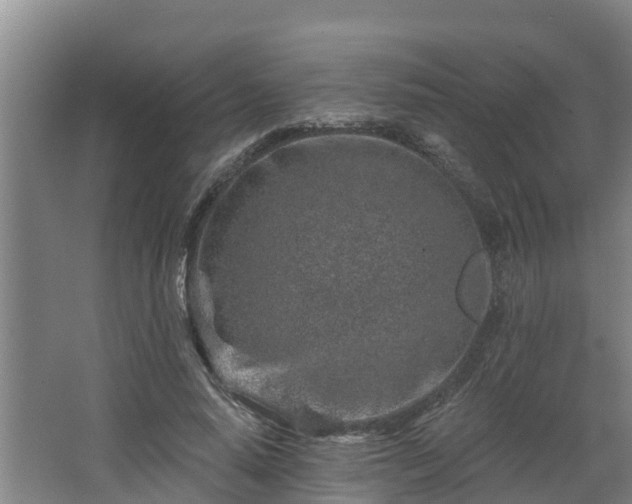 X0000068270640200604281552