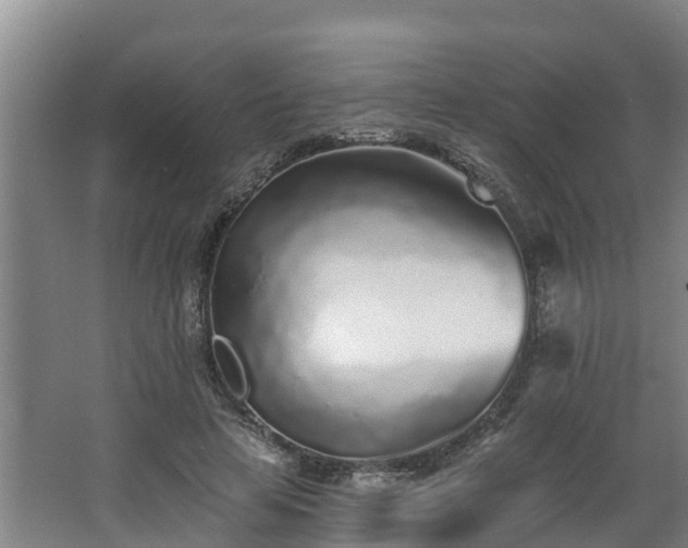 X0000068270641200604281552