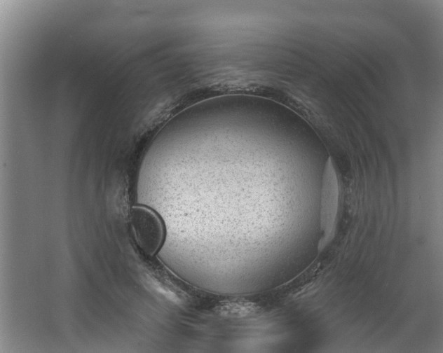 X0000068270642200604281552