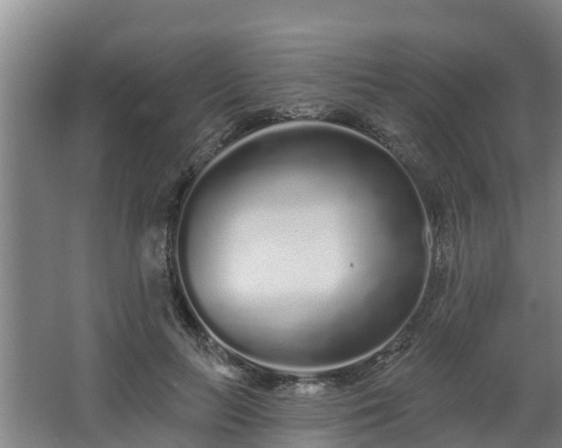 X0000068270647200604281553