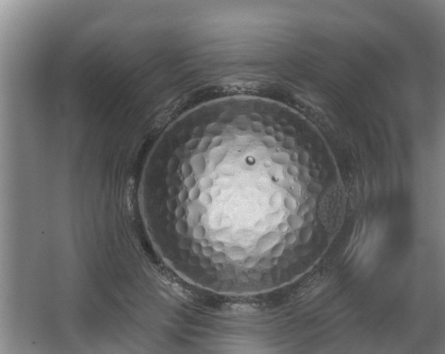 X0000068270649200604281553