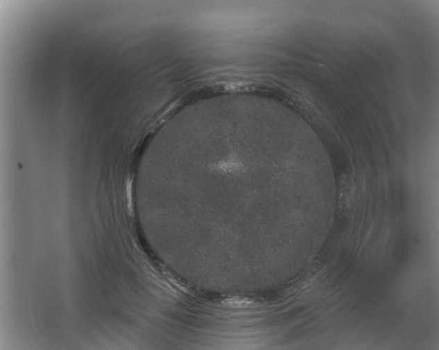 X0000068270650200604281553