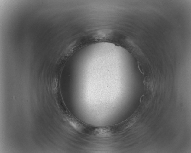 X0000068270660200604281553