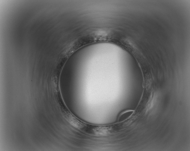 X0000068270661200604281553